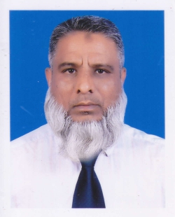 Mohammad Azizul Haque Akanda